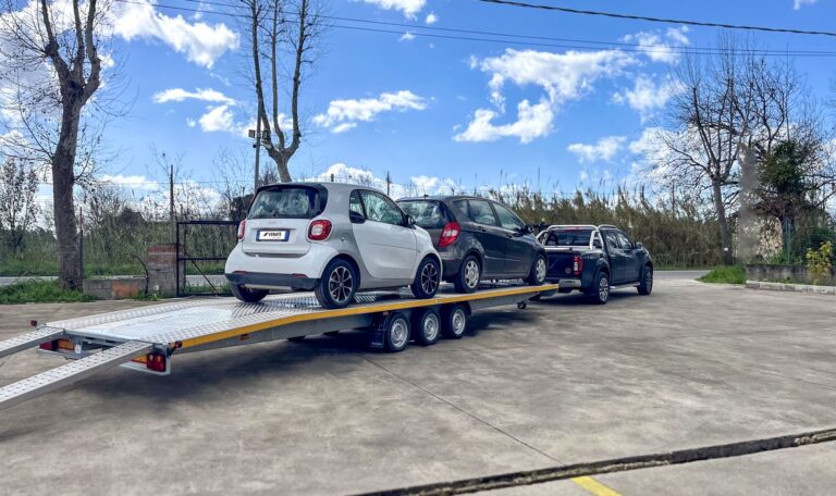 Ve.Na.Te. carrelli per trasporti